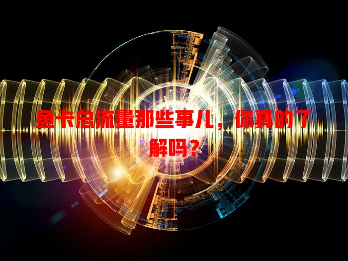 鱼卡总流量那些事儿，你真的了解吗？
