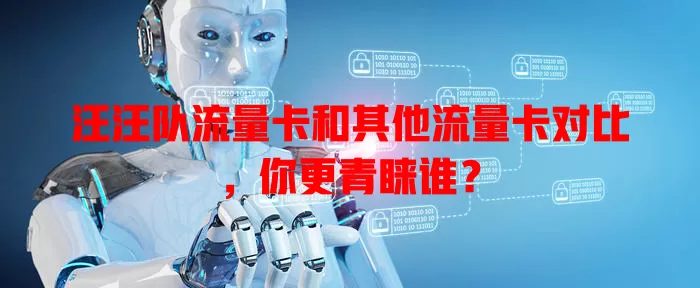 汪汪队流量卡和其他流量卡对比，你更青睐谁？