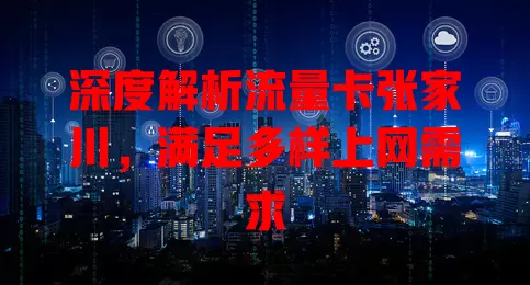深度解析流量卡张家川，满足多样上网需求