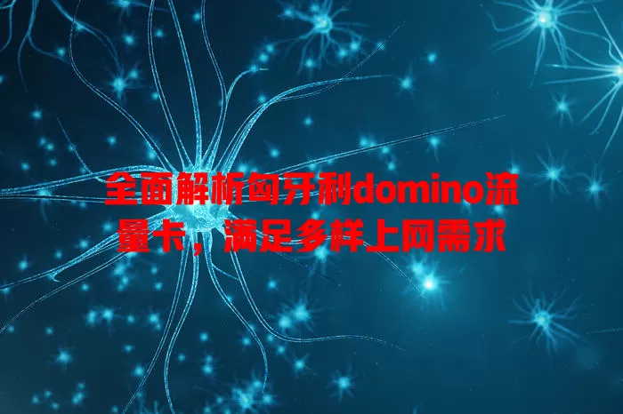 全面解析匈牙利domino流量卡，满足多样上网需求