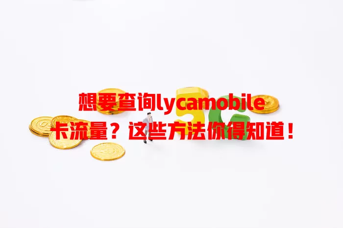 想要查询lycamobile卡流量？这些方法你得知道！