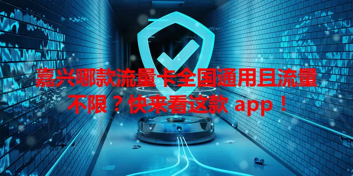 嘉兴哪款流量卡全国通用且流量不限？快来看这款 app！