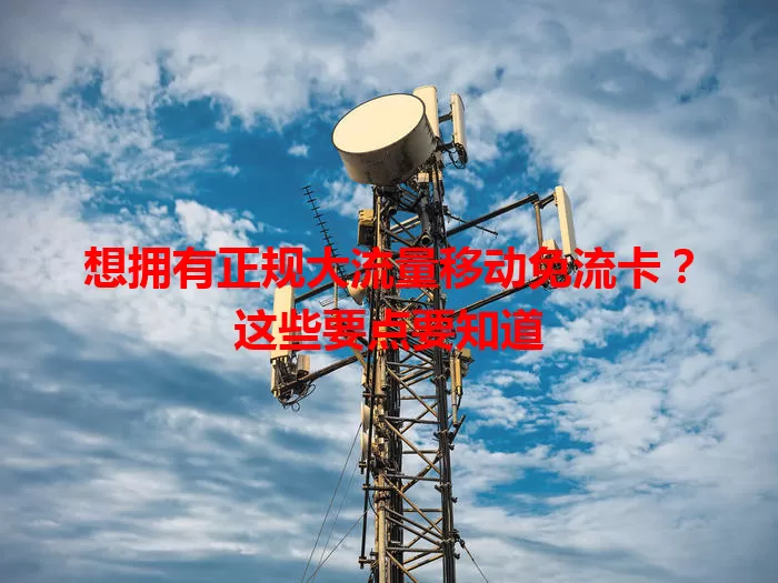 想拥有正规大流量移动免流卡？这些要点要知道