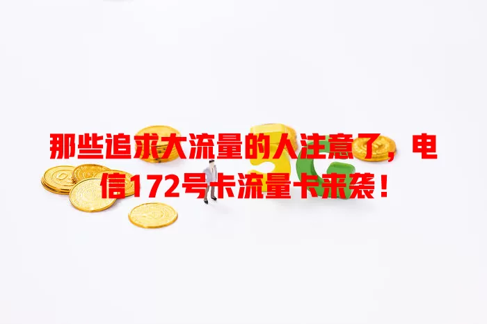 那些追求大流量的人注意了，电信172号卡流量卡来袭！