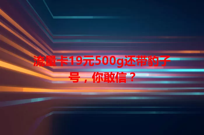 流量卡19元500g还带豹子号，你敢信？