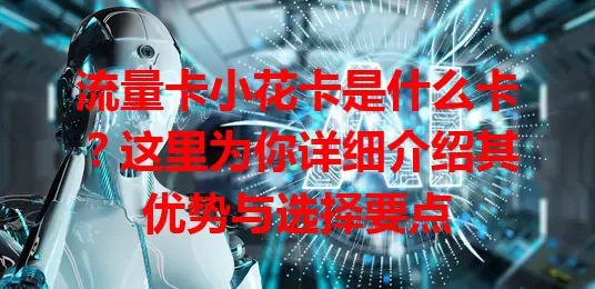 流量卡小花卡是什么卡？这里为你详细介绍其优势与选择要点