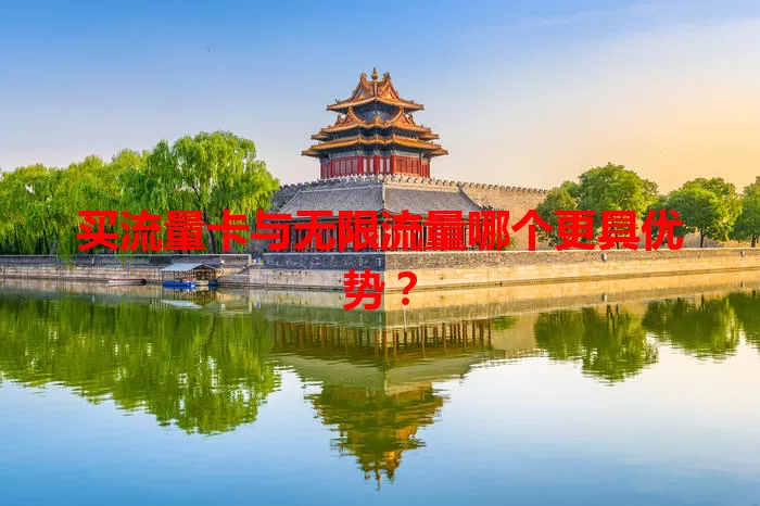 买流量卡与无限流量哪个更具优势？