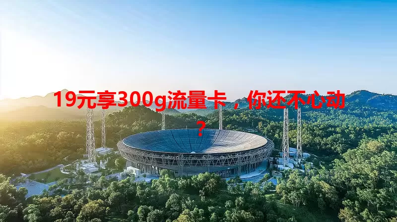 19元享300g流量卡，你还不心动？