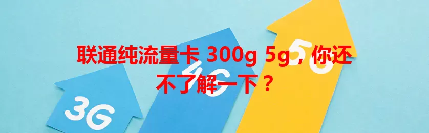 联通纯流量卡 300g 5g，你还不了解一下？