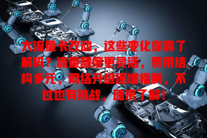 大流量卡改动，这些变化你真了解吗？流量额度更灵活，费用结构多元，网络升级还增福利，不过也有挑战，速来了解！