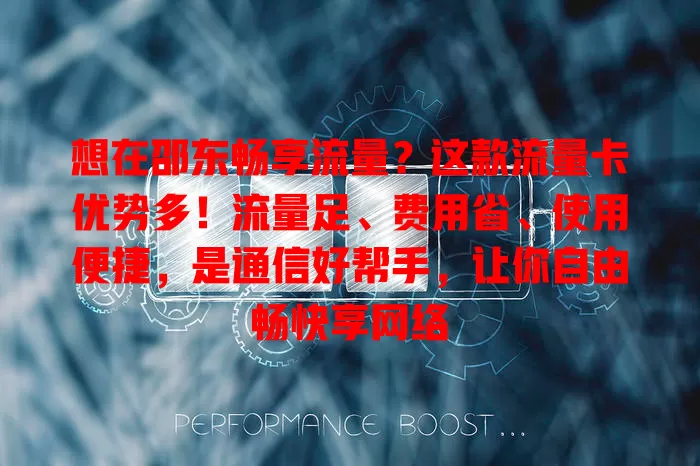想在邵东畅享流量？这款流量卡优势多！流量足、费用省、使用便捷，是通信好帮手，让你自由畅快享网络