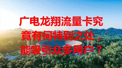 广电龙翔流量卡究竟有何特别之处，能吸引众多用户？