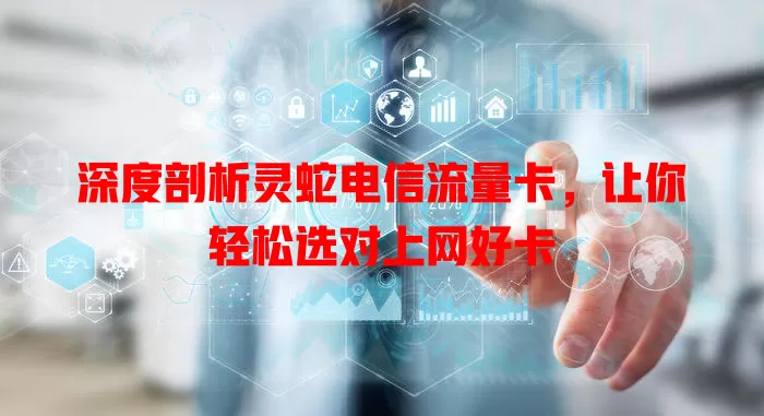 深度剖析灵蛇电信流量卡，让你轻松选对上网好卡