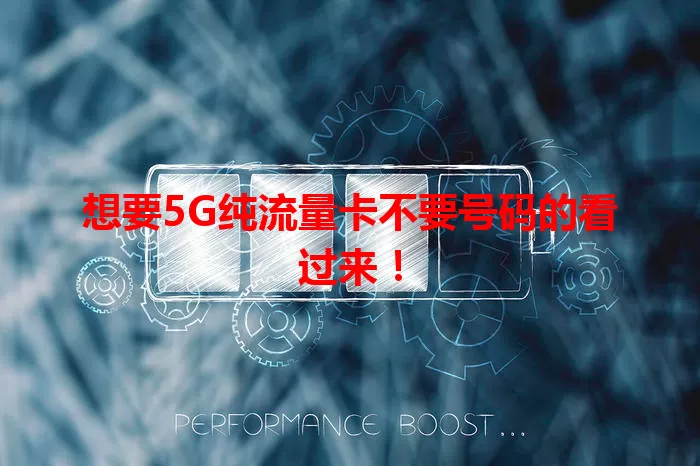 想要5G纯流量卡不要号码的看过来！