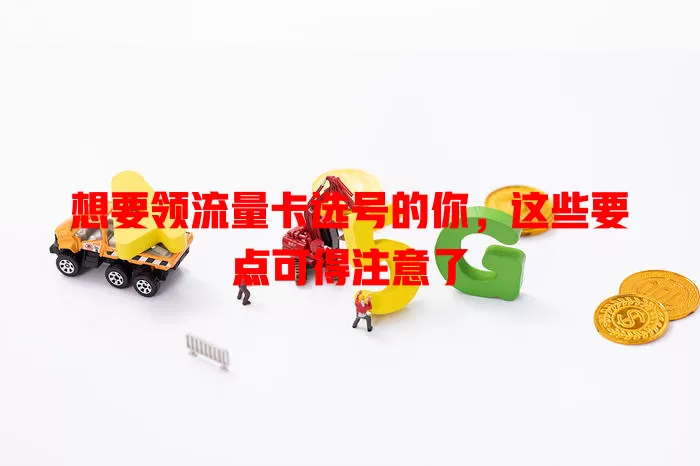 想要领流量卡选号的你，这些要点可得注意了