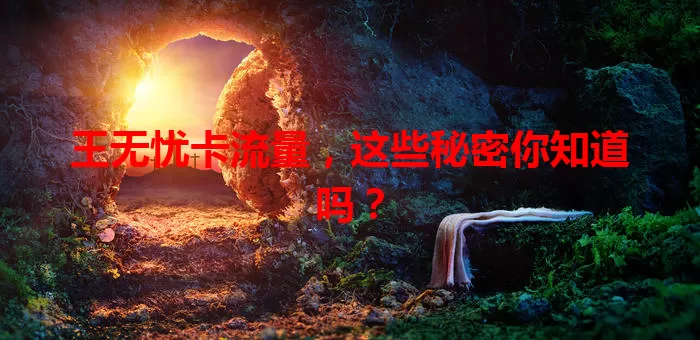 王无忧卡流量，这些秘密你知道吗？