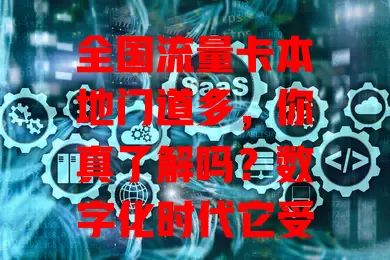 全国流量卡本地门道多，你真了解吗？数字化时代它受关注，本地流量足，出差旅游也不怕。选卡有要点，不同运营商套餐各有特色，了解特性才能挑到适配的，畅享上网好体验