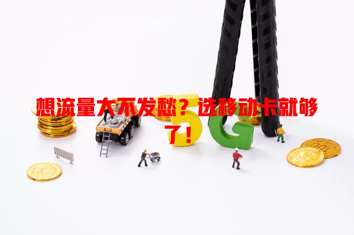 想流量大不发愁？选移动卡就够了！