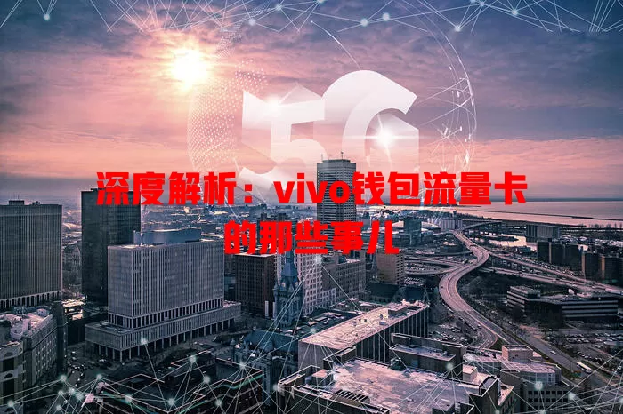 深度解析：vivo钱包流量卡的那些事儿