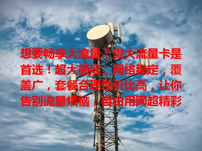 想要畅享大流量？贵大流量卡是首选！超大额度，网络稳定，覆盖广，套餐合理性价比高，让你告别流量烦恼，自由用网超精彩！