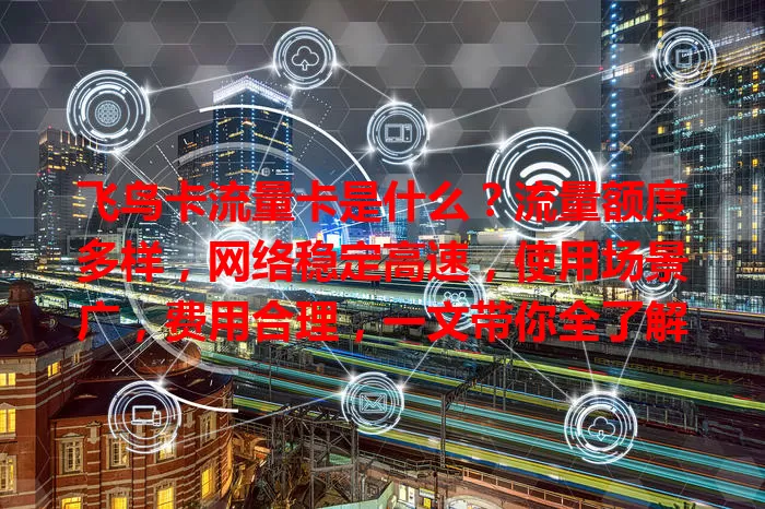 飞鸟卡流量卡是什么？流量额度多样，网络稳定高速，使用场景广，费用合理，一文带你全了解