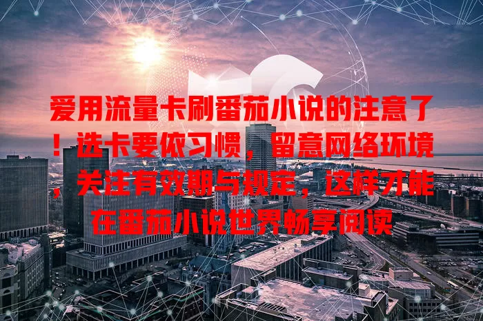 爱用流量卡刷番茄小说的注意了！选卡要依习惯，留意网络环境，关注有效期与规定，这样才能在番茄小说世界畅享阅读