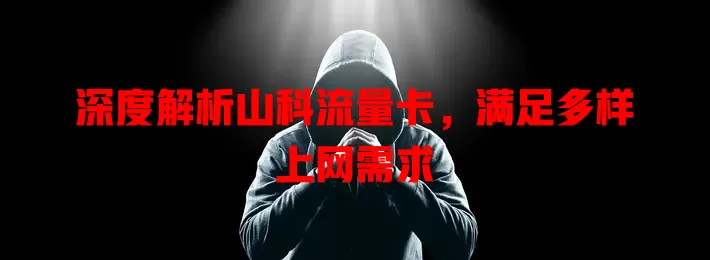 深度解析山科流量卡，满足多样上网需求