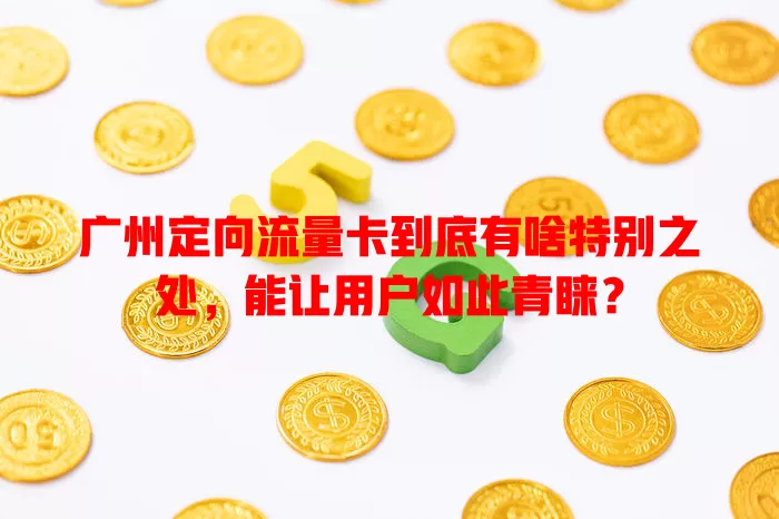 广州定向流量卡到底有啥特别之处，能让用户如此青睐？