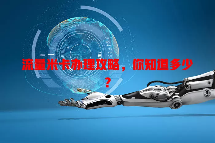 流量米卡办理攻略，你知道多少？