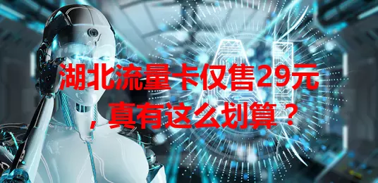 湖北流量卡仅售29元，真有这么划算？