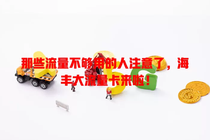那些流量不够用的人注意了，海丰大流量卡来啦！