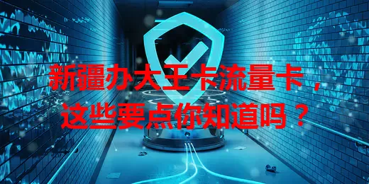 新疆办大王卡流量卡，这些要点你知道吗？