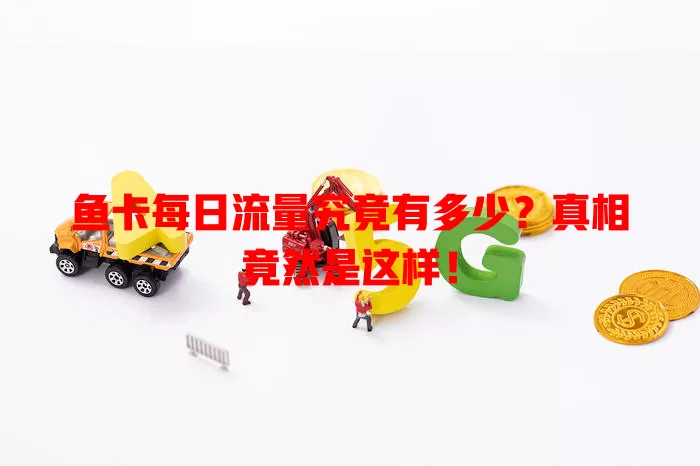 鱼卡每日流量究竟有多少？真相竟然是这样！