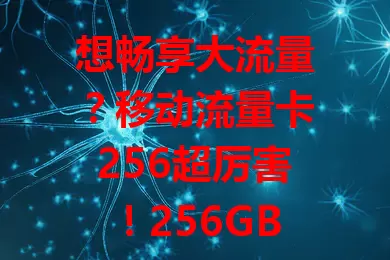 想畅享大流量？移动流量卡256超厉害！256GB超大流量，随心刷短视频、追剧、玩游戏。移动网络信号强，城乡皆享稳定服务，随时连接外界，满足流量期待，开启精彩网络生活！