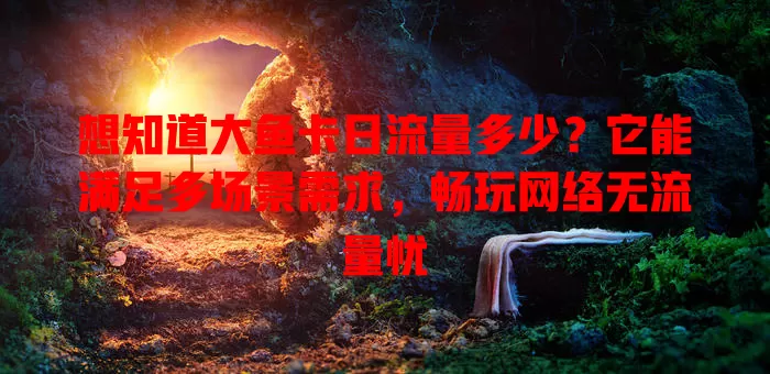 想知道大鱼卡日流量多少？它能满足多场景需求，畅玩网络无流量忧