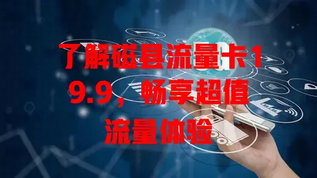 了解磁县流量卡19.9，畅享超值流量体验
