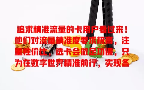 追求精准流量的卡用户看过来！他们对流量精准度要求极高，注重性价比，选卡会做足功课，只为在数字世界精准前行，实现各类目标