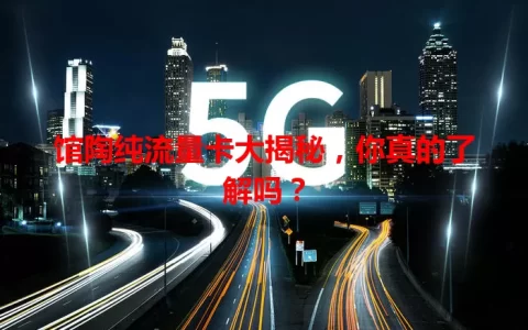 馆陶纯流量卡大揭秘，你真的了解吗？