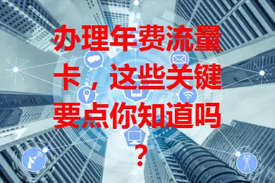 办理年费流量卡，这些关键要点你知道吗？