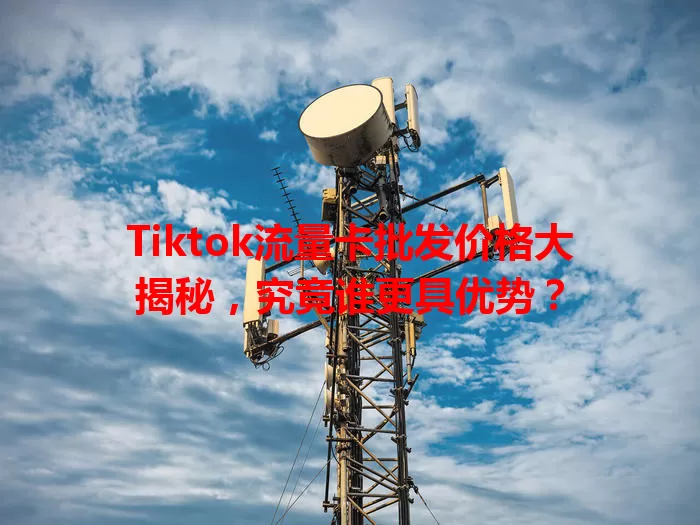 Tiktok流量卡批发价格大揭秘，究竟谁更具优势？