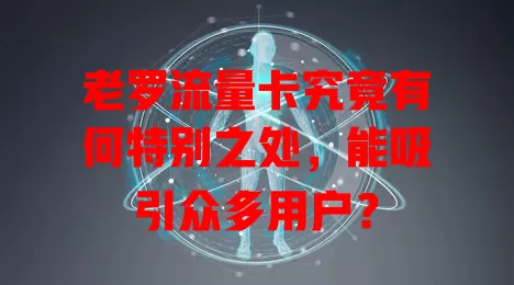 老罗流量卡究竟有何特别之处，能吸引众多用户？