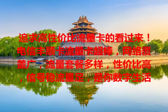追求高性价比流量卡的看过来！电信丰顺卡流量卡超棒，网络覆盖广，流量套餐多样，性价比高，信号稳流量足，是你数字生活的贴心伙伴，值得考虑！