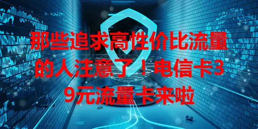 那些追求高性价比流量的人注意了！电信卡39元流量卡来啦
