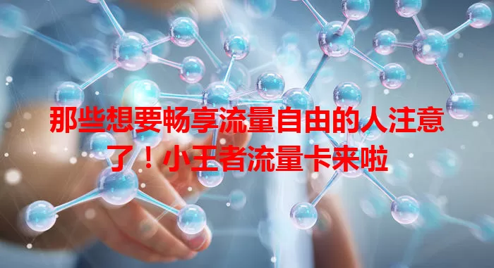 那些想要畅享流量自由的人注意了！小王者流量卡来啦