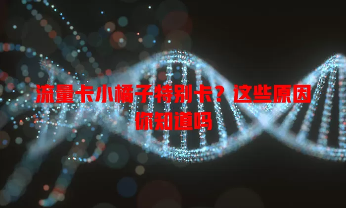 流量卡小橘子特别卡？这些原因你知道吗