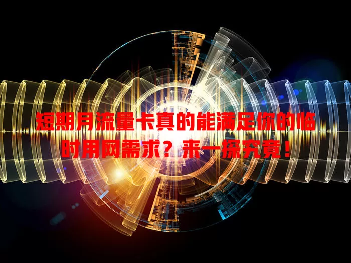 短期月流量卡真的能满足你的临时用网需求？来一探究竟！