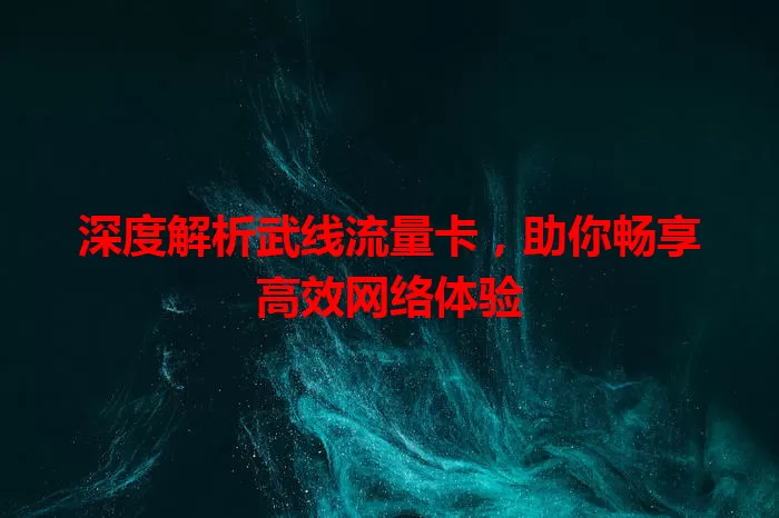 深度解析武线流量卡，助你畅享高效网络体验