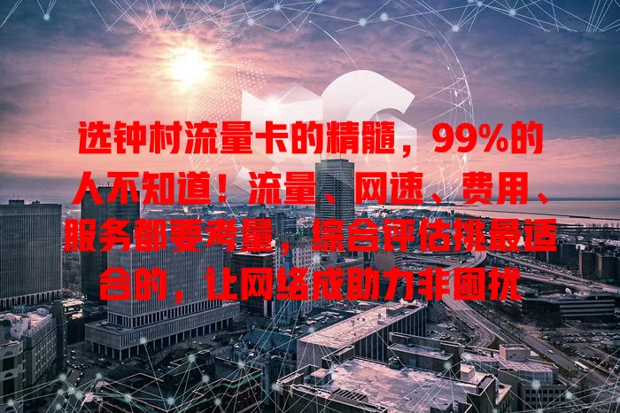 选钟村流量卡的精髓，99%的人不知道！流量、网速、费用、服务都要考量，综合评估挑最适合的，让网络成助力非困扰