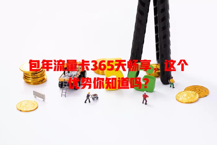 包年流量卡365天畅享，这个优势你知道吗？