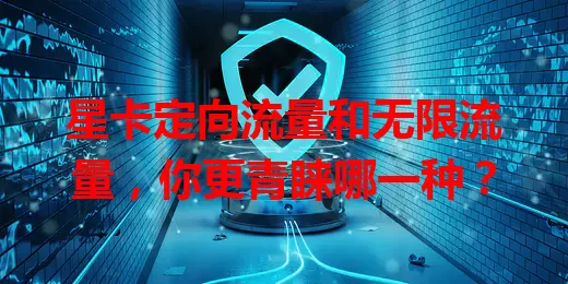 星卡定向流量和无限流量，你更青睐哪一种？